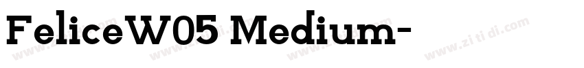 FeliceW05 Medium字体转换